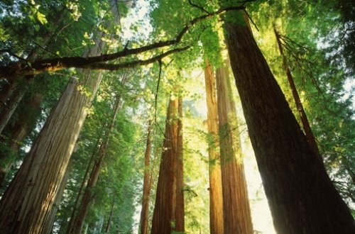 捍卫家园 | 春风十里、防火第一！