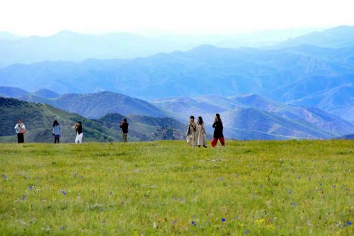 三方墨客游黄花、诗情画意秘境生